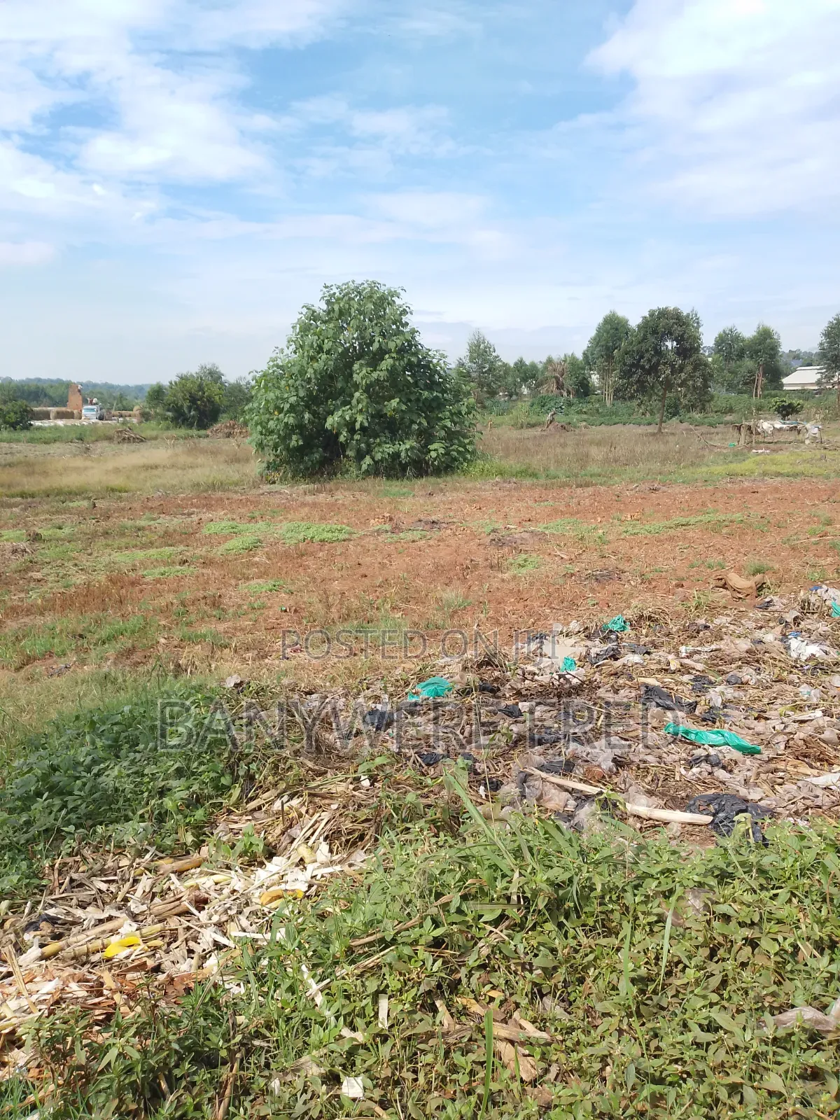 3 Acres of Farmland in Kasayi