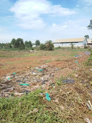3 Acres of Farmland in Kasayi