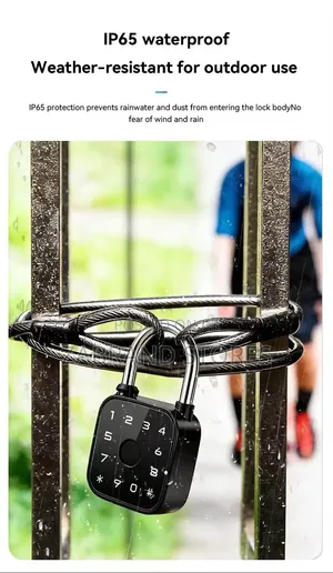 Finger/ Password Smart Padlock