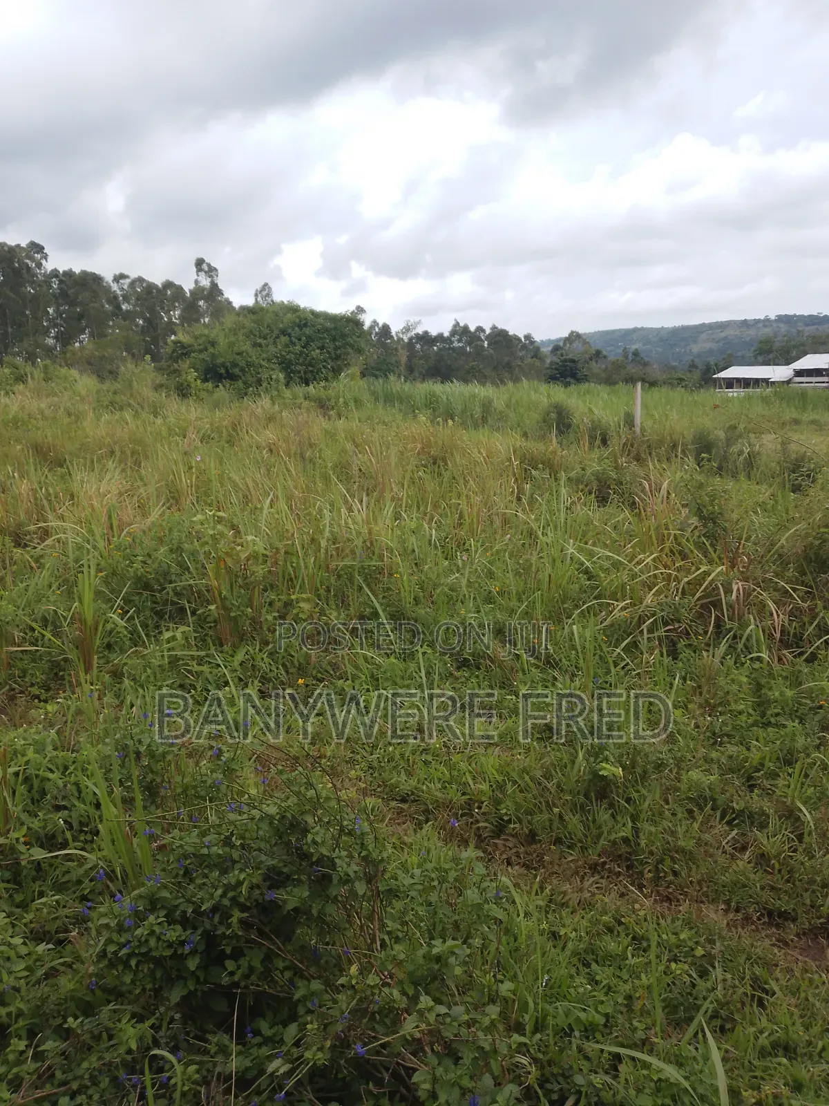 90 Acres of Farmland for Sale in Nangunga