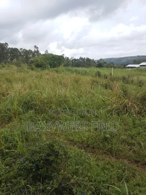 90 Acres of Farmland for Sale in Nangunga