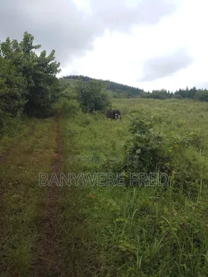 90 Acres of Farmland for Sale in Nangunga