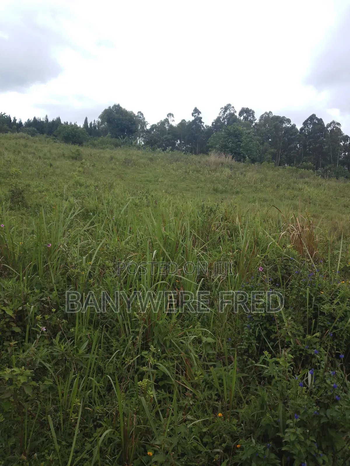 90 Acres of Farmland for Sale in Nangunga
