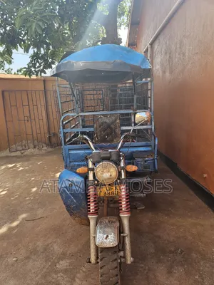 Tricycle 2023 Blue