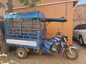 Tricycle 2023 Blue