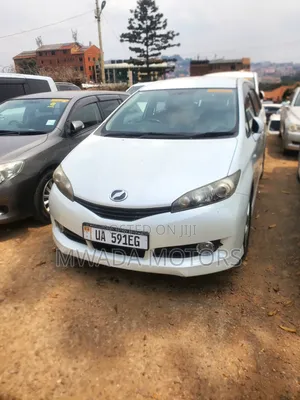 Toyota Wish 2010 Brown