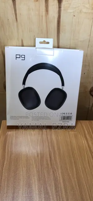 P9 Bits, Headphones or Earphones