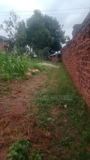 Tittle for Sale Nansana