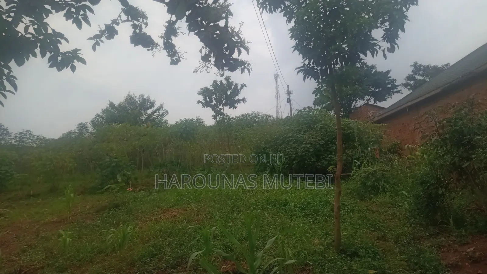 Tittle for Sale Nansana