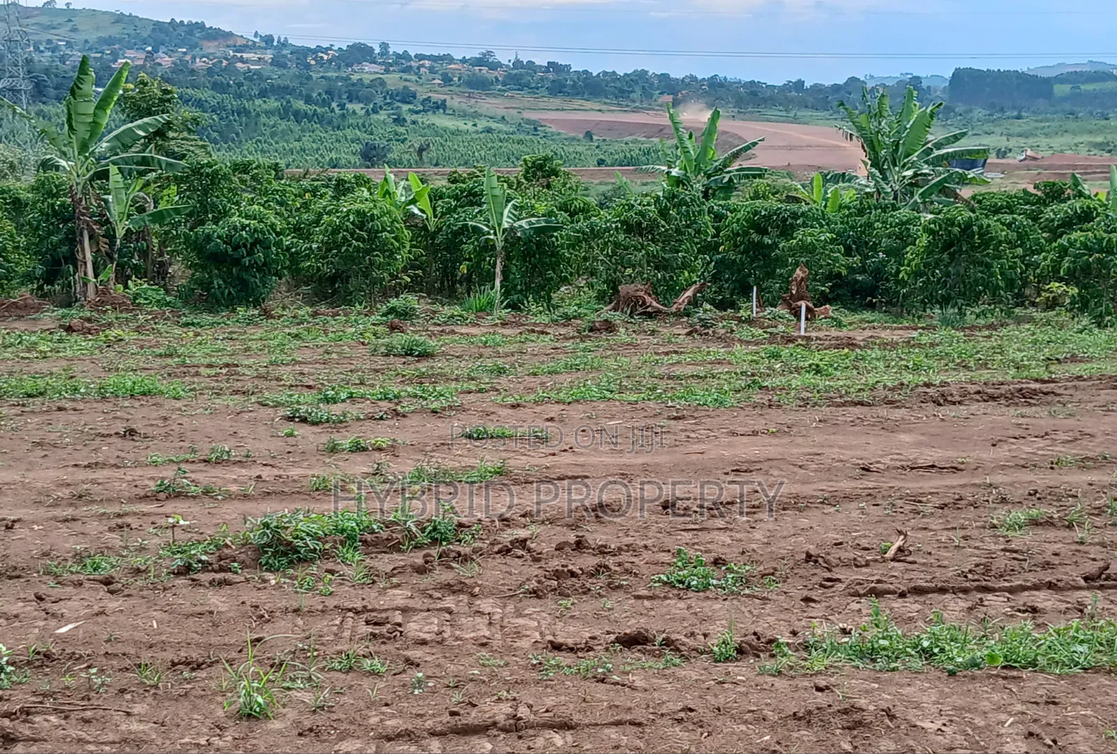 Prime Plots for Sale at Nakirebe~Kagaba Land Estate Along Masaka Road.
