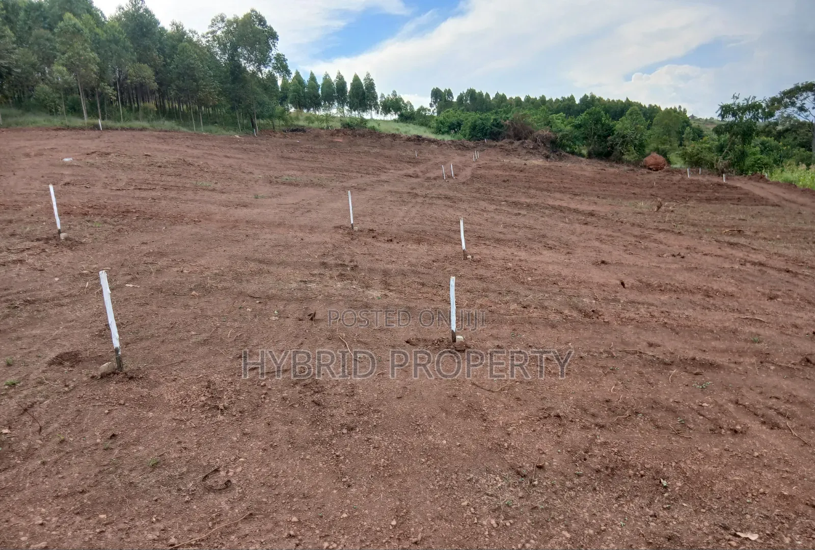 Prime Plots for Sale at Katende~Mabuye Hill View Estate~Masaka Road.