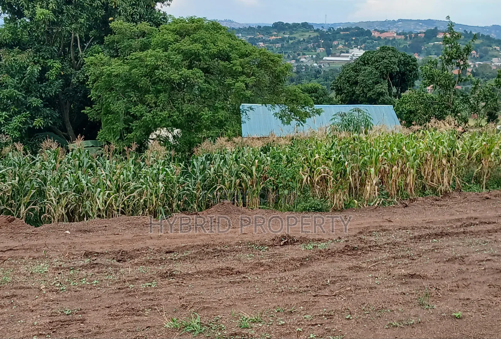 Prime Plots for Sale at Katende~Mabuye Hill View Estate~Masaka Road.