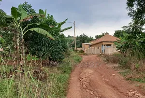 Prime Plots for Sale at Katende~Luvumbula Land Estate Along Masaka Rd