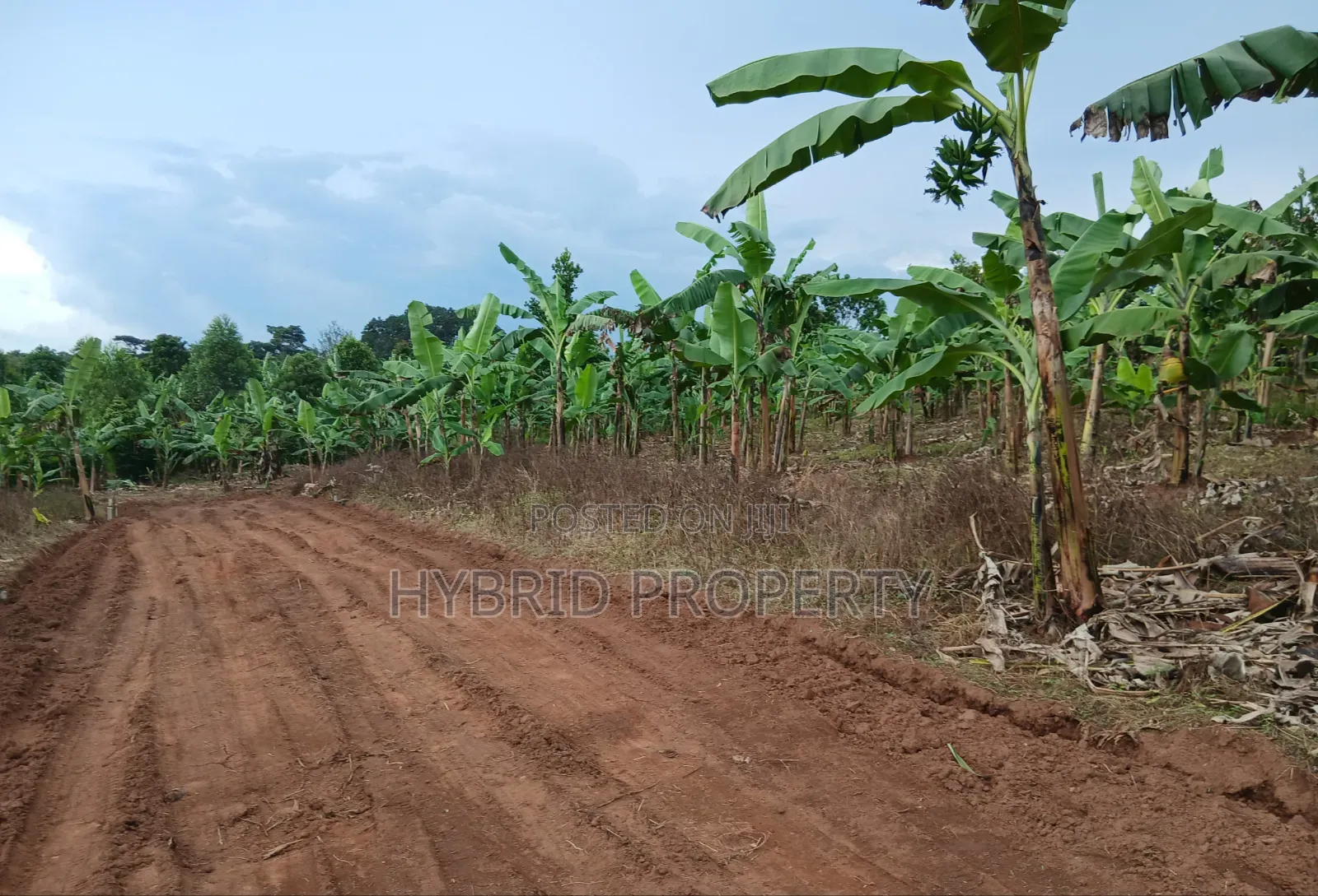 Prime Plots for Sale at Katende~Luvumbula Land Estate Along Masaka Rd