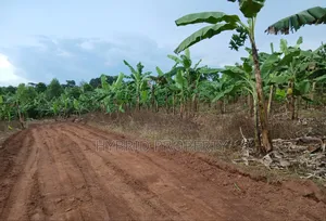 Prime Plots for Sale at Katende~Luvumbula Land Estate Along Masaka Rd