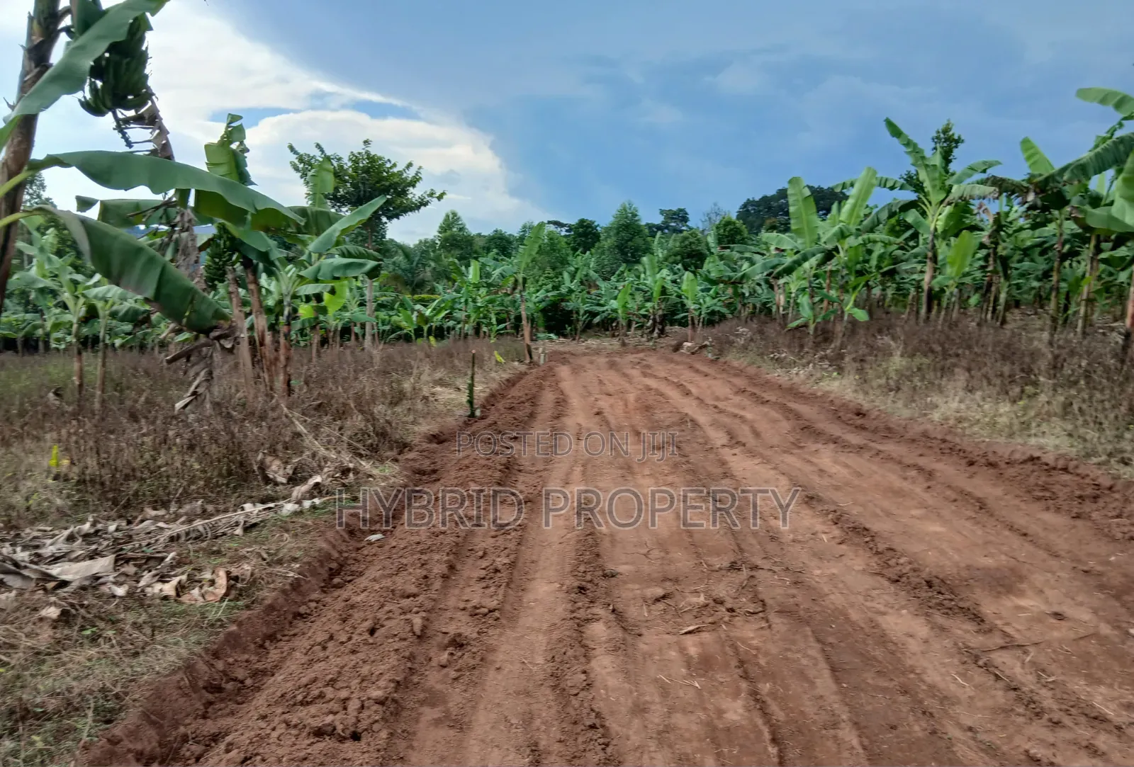 Prime Plots for Sale at Katende~Luvumbula Land Estate Along Masaka Rd