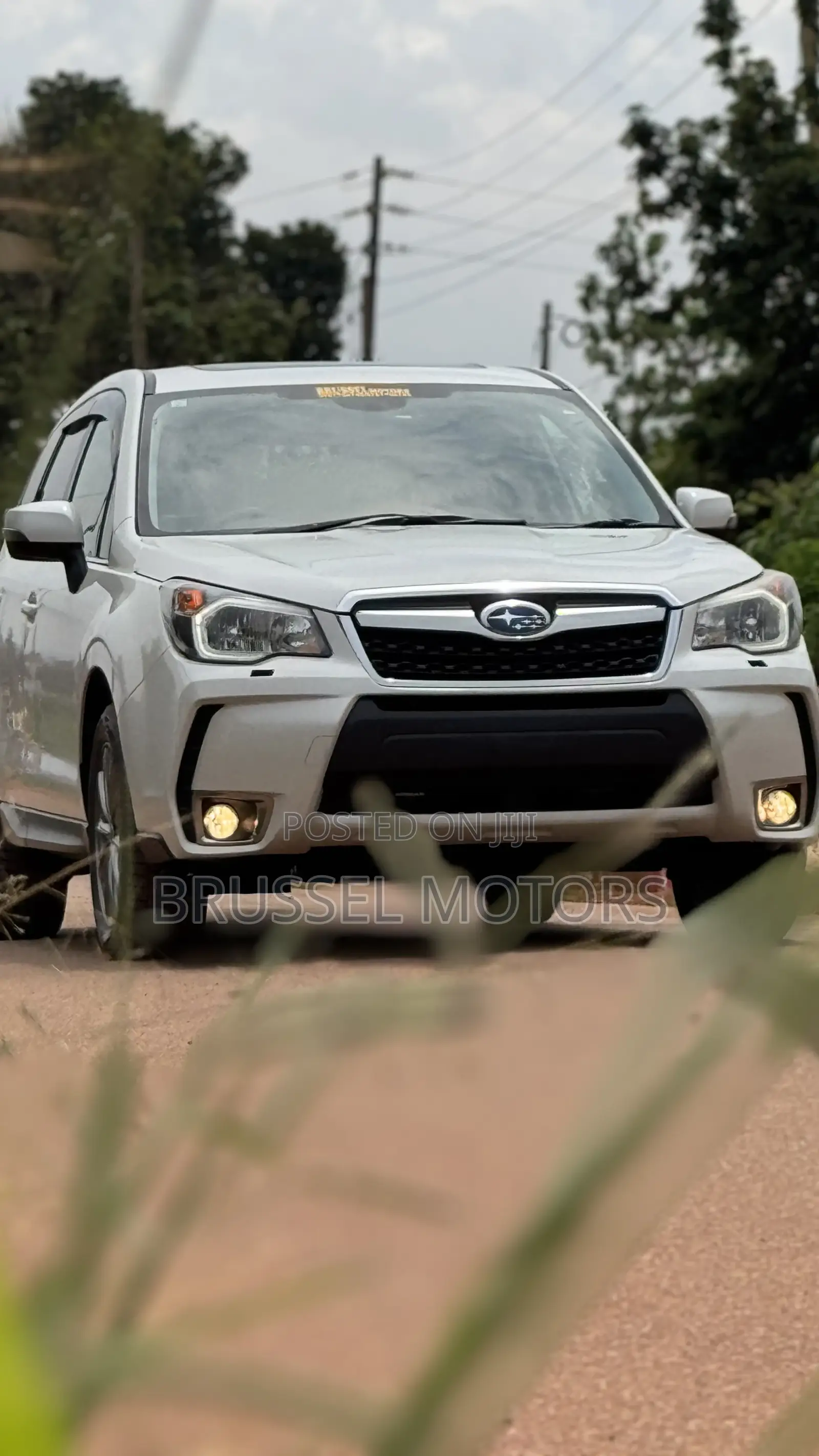 Subaru Forester 2.5i Limited PZEV 4dr SUV AWD (2.5L 4cyl CVT) 2015 White