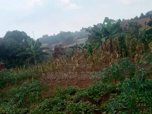 Nice Plots in Nangabo Town, Only 2km From Kasangati Town