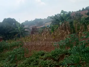 Nice Plots in Kasangati Nangabo Town, Only 2km From Kasangati Town