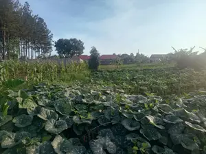 100*100ft Plot for Sale in Gayaza Kabanyolo 2km From Gayaza Town Centa