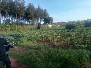 100*100ft Plot for Sale in Gayaza Kabanyolo 2km From Gayaza Town Centa