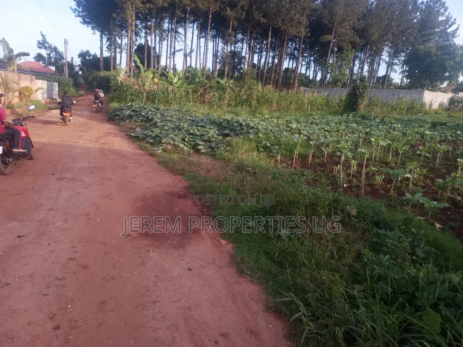 100*100ft Plot for Sale in Gayaza Kabanyolo 2km From Gayaza Town Centa