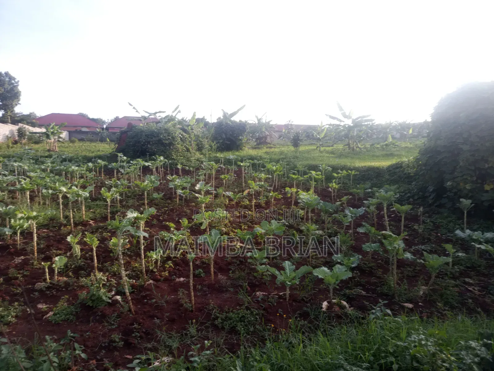 100*100ft Plot for Sale in Gayaza Kabanyolo 2km From Gayaza Town Centa