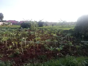 100*100ft Plot for Sale in Gayaza Kabanyolo 2km From Gayaza Town Centa