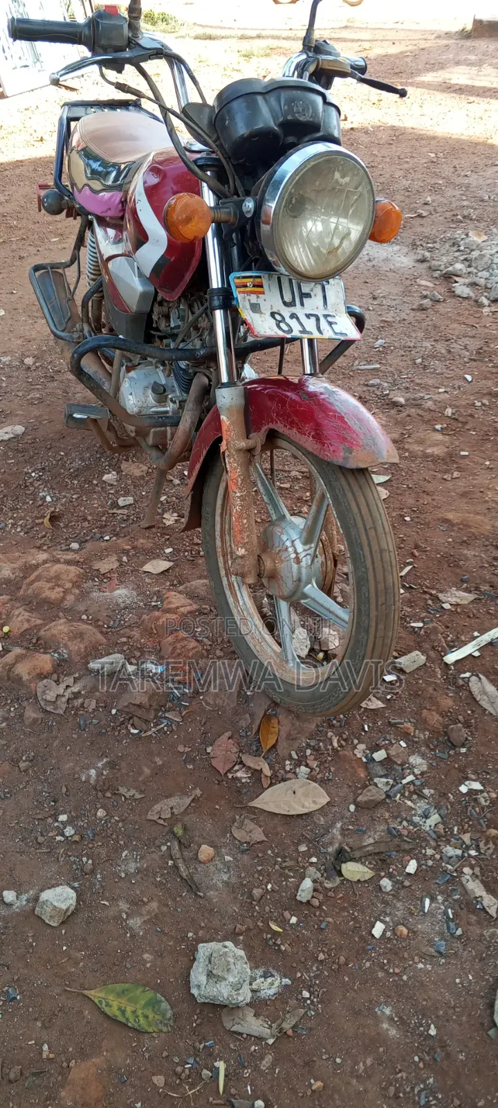 TVS HLX 125 2021 Red