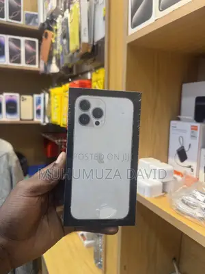 New Apple iPhone 13 Pro Max 256 GB Silver