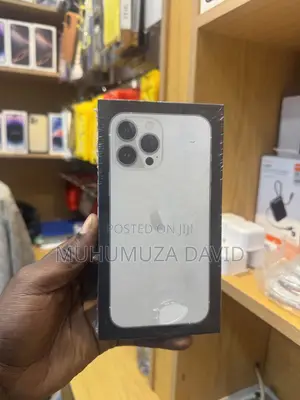 New Apple iPhone 13 Pro Max 256 GB Silver
