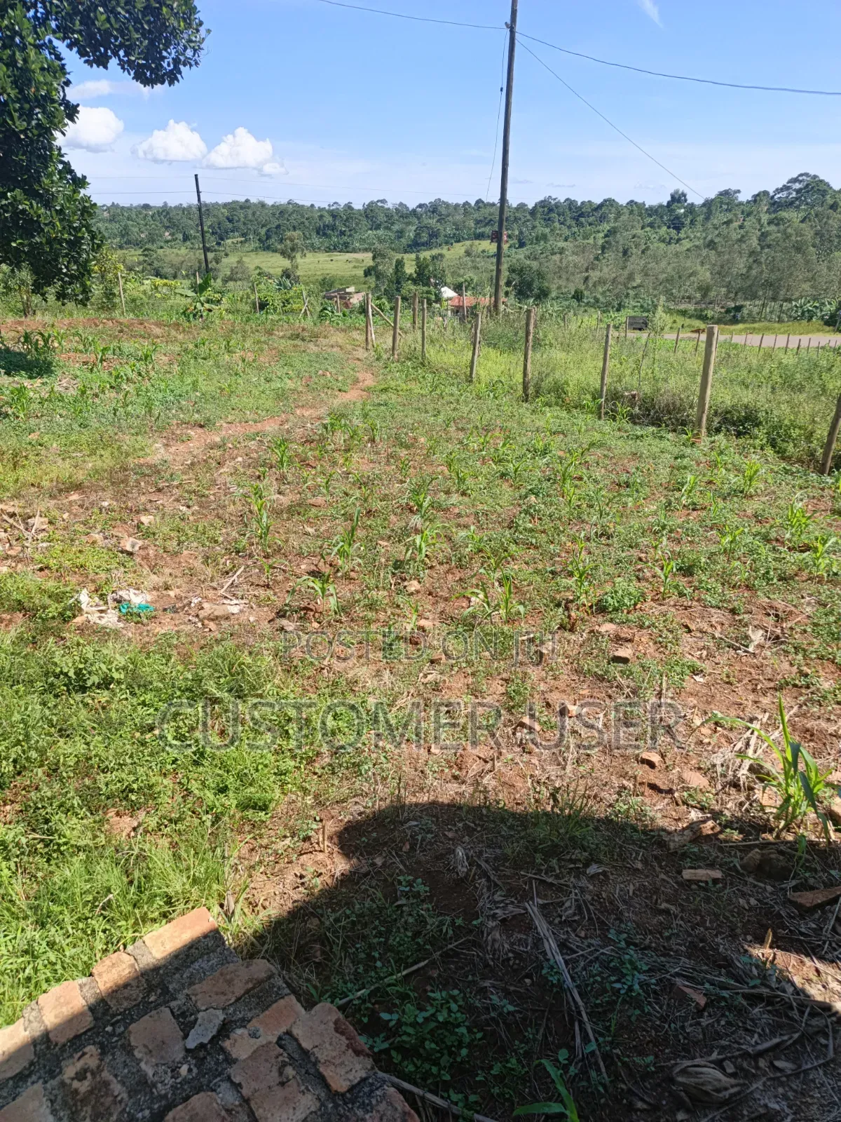 2.83 Titled Mailo Acres Nkokonjeru Town Council Sale