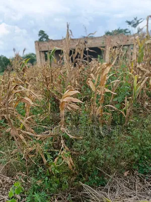 2.83 Titled Mailo Acres Nkokonjeru Town Council Sale