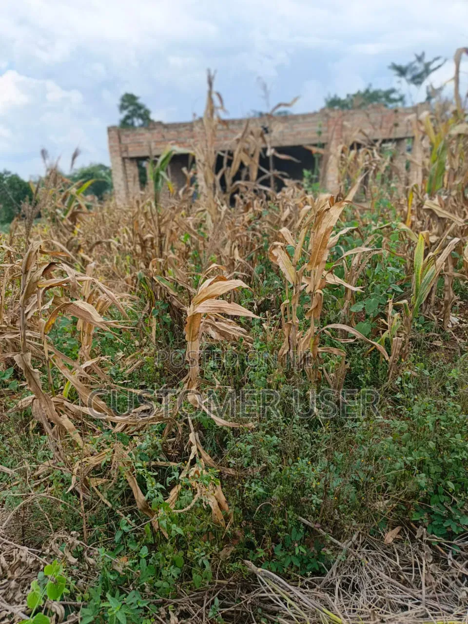 2.83 Titled Mailo Acres Nkokonjeru Town Council Sale