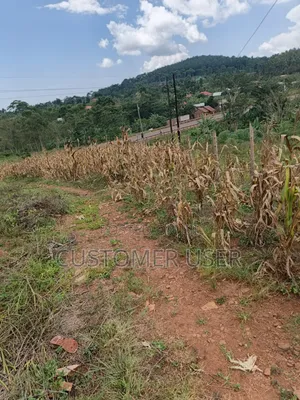 2.83 Titled Mailo Acres Nkokonjeru Town Council Sale