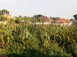 Well Organised Estate in Corporate Area – Quick Sale