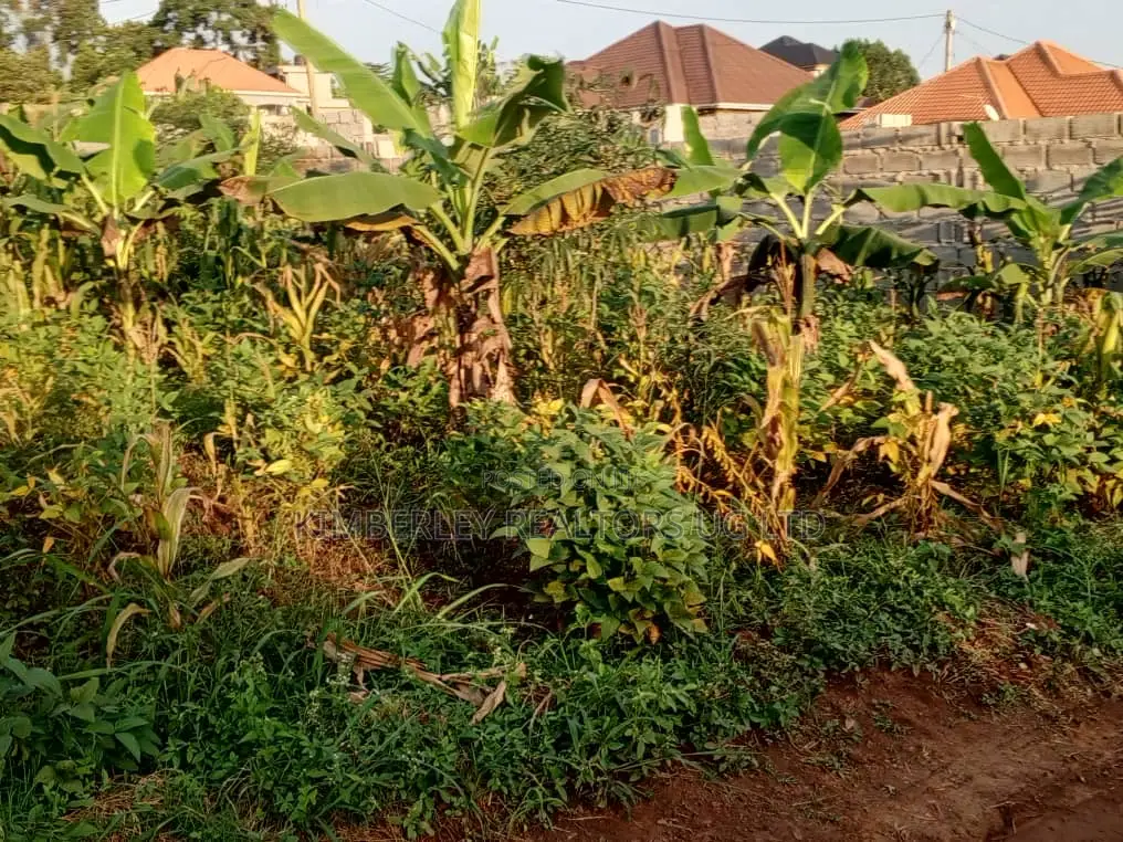 Well Organised Estate in Corporate Area – Quick Sale