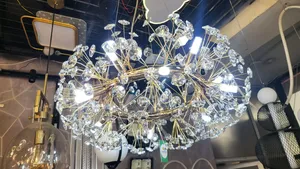 Ceiling Lights