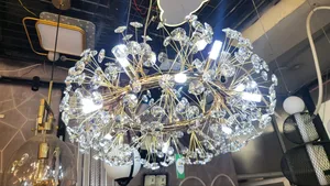 Ceiling Lights