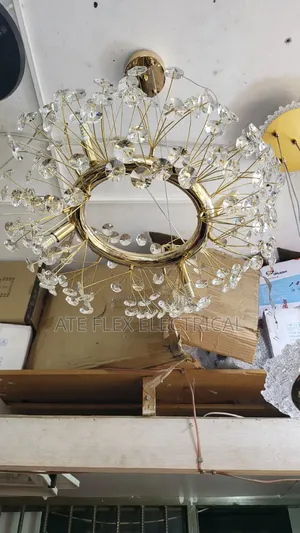 Ceiling Lights