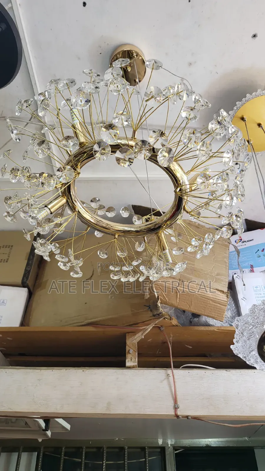 Ceiling Lights