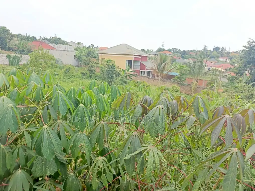 Quick Sale – Prime Land for Sale – Seeta Namilyango