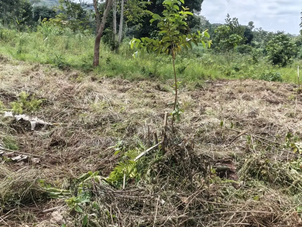 Plot for Sale – Mbalala (Mukono)