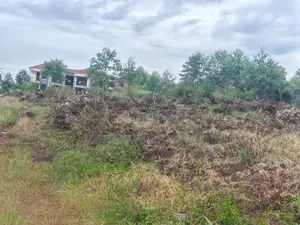 2bdrm Bungalow in Division A for sale