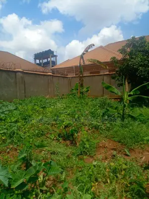 Lake Front Industrial Property For Sale – Jinja