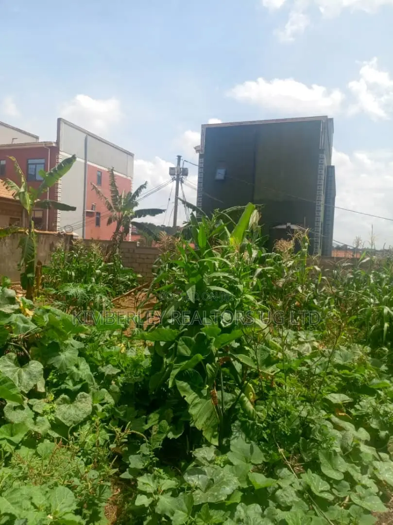 Lake Front Industrial Property For Sale – Jinja