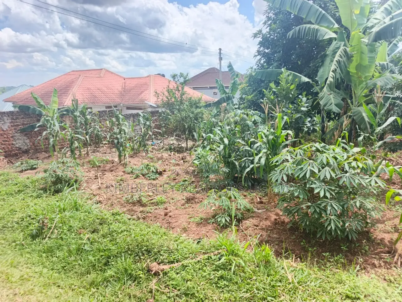Prime Plot for Sale – Mukono Kusatu