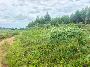 Prime Land for Sale – Mukono Katosi