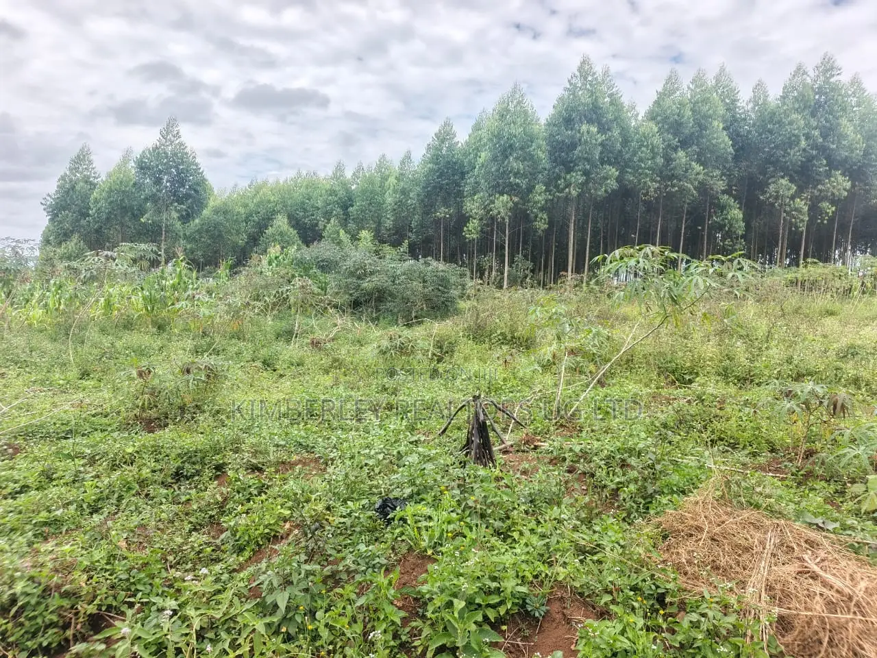 Prime Land for Sale – Mukono Katosi