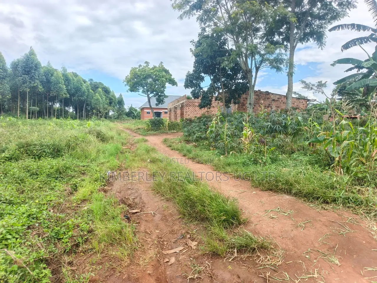 Prime Land for Sale – Mukono Katosi